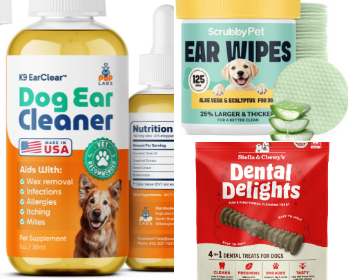 Doggy recommendations cover photo collage
