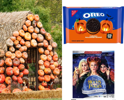 ALL the FALL things 🍁 cover photo collage