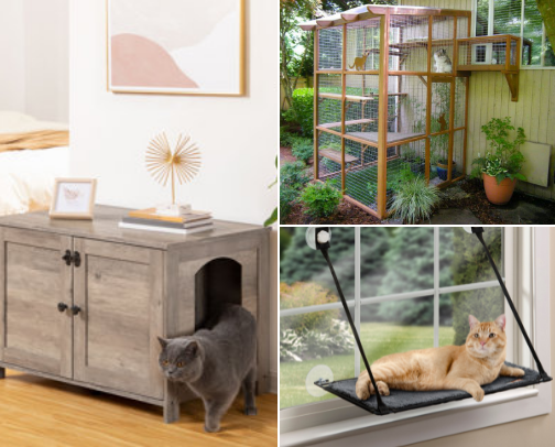Cattify your home with cat friendly products cover photo collage