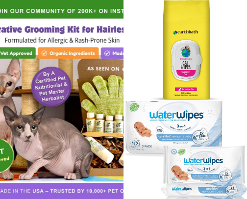 Things I Bought To Manifest My Sphynx 🐈 cover photo collage