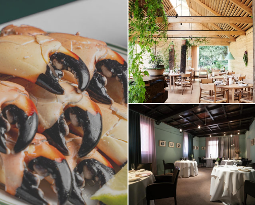 Restaurants cover photo collage
