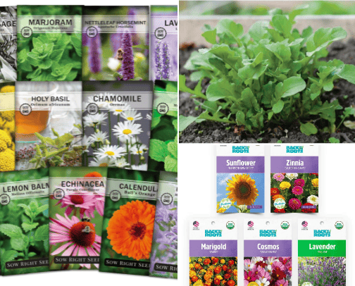 Seed Starting cover photo collage