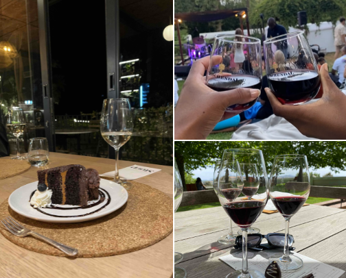 Beginner’s Guide To Wine🍷🍶 cover photo collage