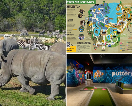 Things to do in Palm Beach County cover photo collage