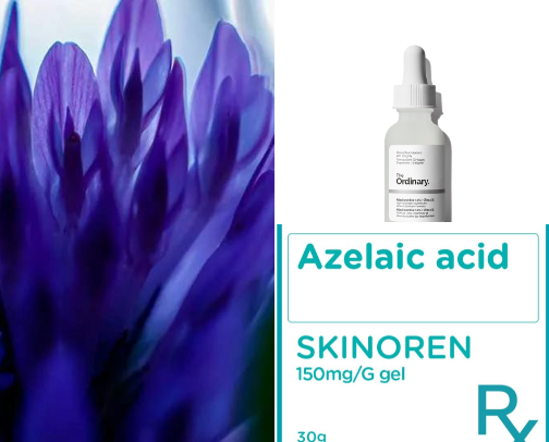 🔥 Top 10 Viral & Affordable Niche Skincare Picks 2025 — Shop Best-Selling Must-Haves Now! cover photo collage