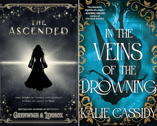 2025 My 5 STAR Romantasy Reads cover photo collage