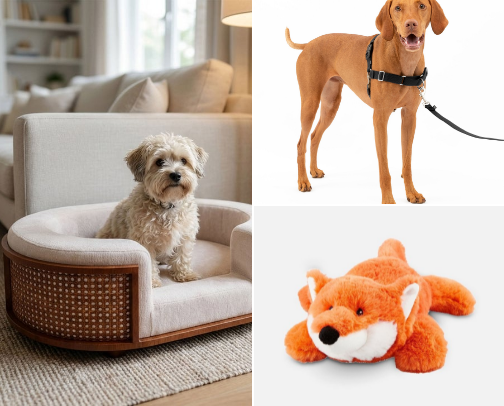 My favorite dog things cover photo collage