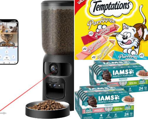 Being a Cat Mom cover photo collage