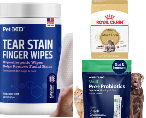 More Cat & Dog Finds Worth Adding to Your Pet Routine cover photo collage