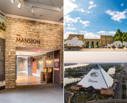 Things to do in Memphis cover photo collage