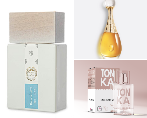 Favorite budget perfumes cover photo collage