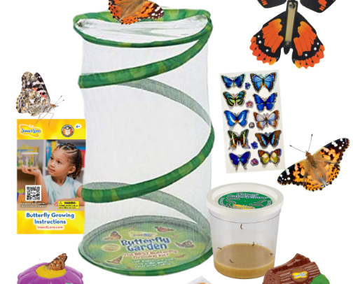 Educational for kids cover photo collage