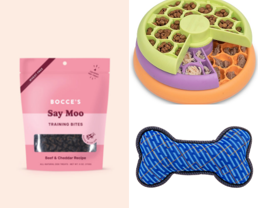 First Dog Necessities cover photo collage