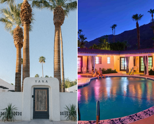 Palm Springs boutique hotels! cover photo collage