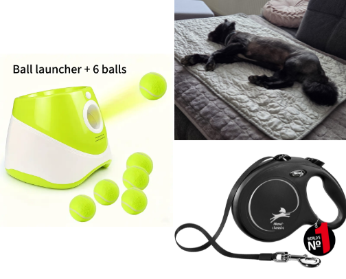 Dog life <3 cover photo collage