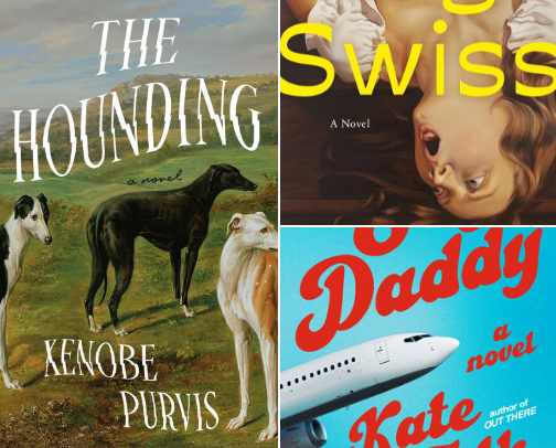 Not Your Average Book Recommendation cover photo collage