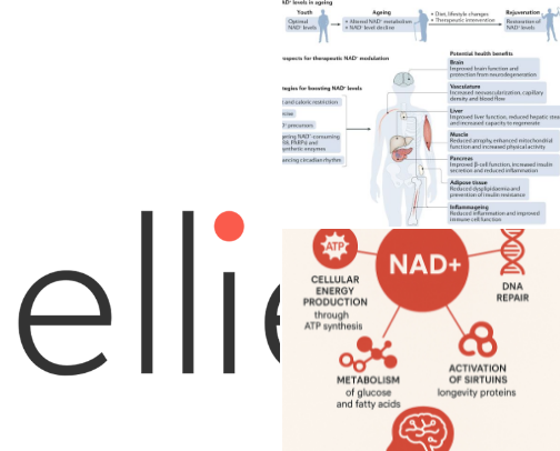 Microdosing and Health cover photo collage