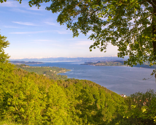 Best food spots in Überlingen, Meersburg, Friedrichshafen cover photo collage