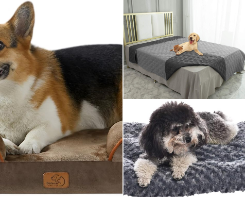 Top 10 Waterproof Dog and Cat Beds to Buy cover photo collage