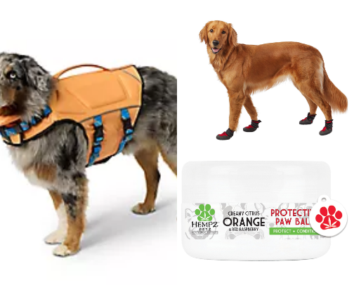 Must Have for Active Dog Families cover photo collage
