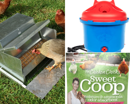 Chickens cover photo collage