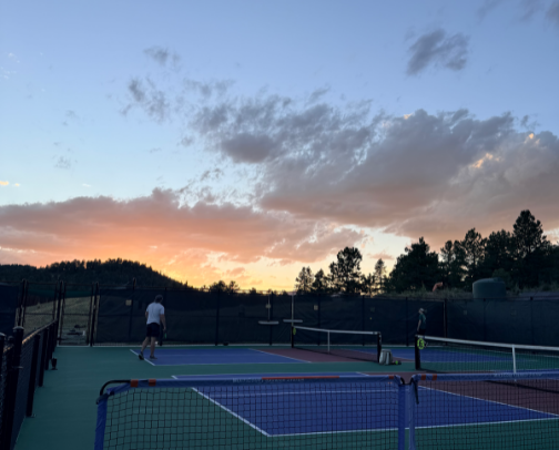 Pickleball Courts! cover photo collage