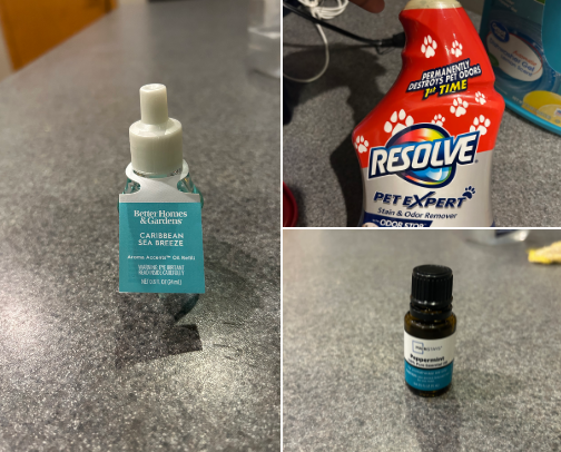 Elevate Your Everyday: The Home Essentials That Completely Transformed My Space cover photo collage