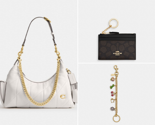 ✨ Little Luxuries:Coach Edition👜 cover photo collage