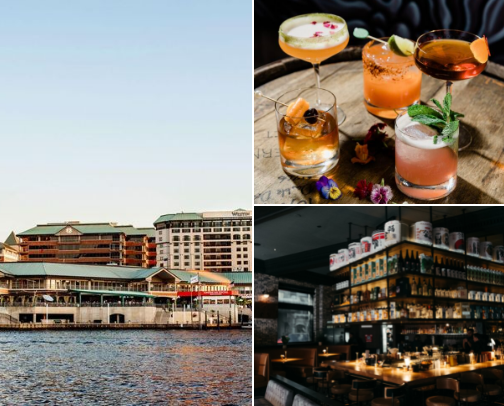 Tampa Happy Hour Deals cover photo collage
