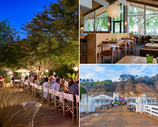 Worth the Reservation cover photo collage