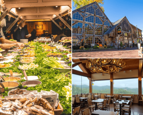 Adventure Eats and Thrills in Gatlinburg cover photo collage