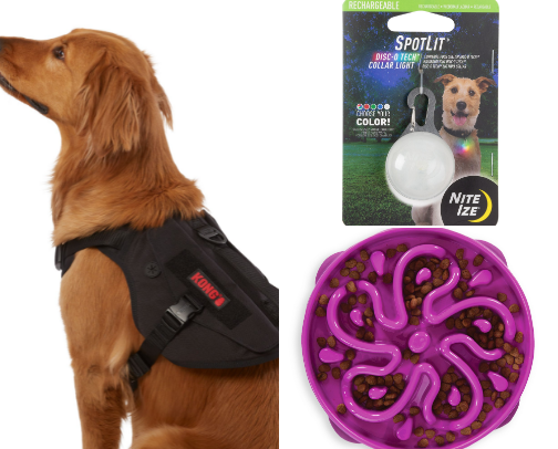 Items necessary for owning a Large Breed Dog!🖤🐾 cover photo collage