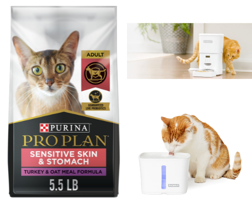 Elton’s Essentials 🐈 cover photo collage