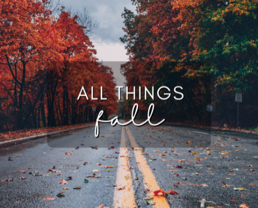 All Things Fall 🧡 cover photo collage