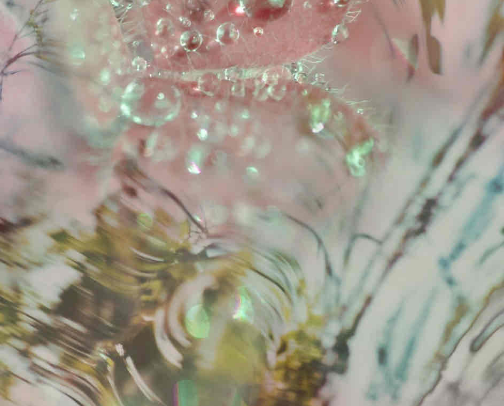 My beauty must haves! cover photo collage