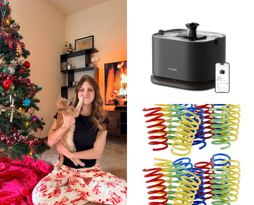 Elevated Essentials for Cat Lovers🐈 cover photo collage