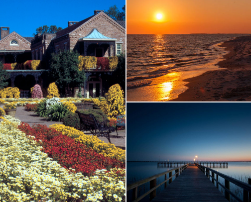 Things to Do in Mobile & Baldwin Counties cover photo collage