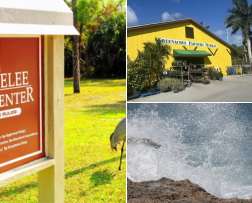 My new list cover photo collage