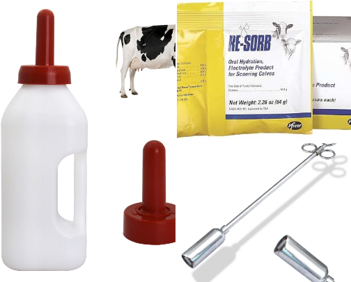 Bottle Calf essentials cover photo collage