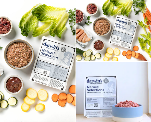 Animals best Foods And:
Automatic Feeder Dog Cat Food Bowl 
food processing for wet food and dry machines. cover photo collage