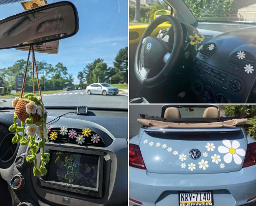 𝐖𝐡𝐞𝐞𝐥-𝐲 𝐂𝐮𝐭𝐞 cover photo collage