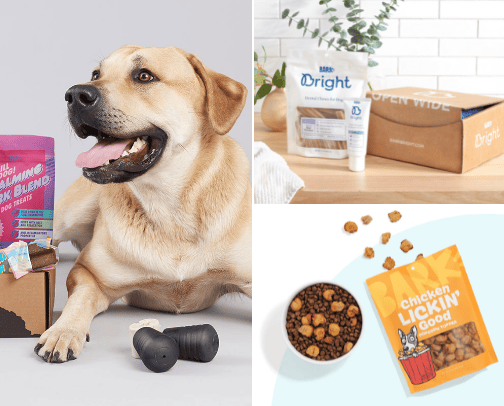 BarkBox cover photo collage