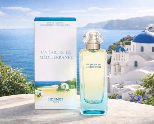 perfumes to wear if you want to be sick of getting compliments cover photo collage