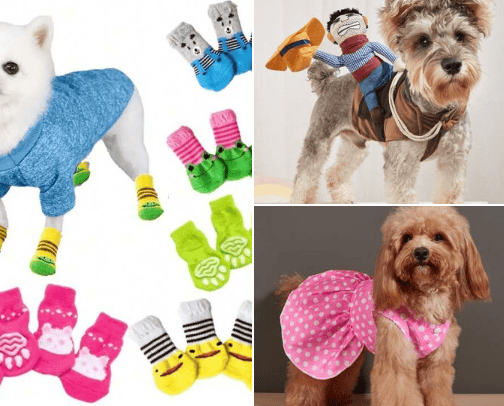 Glam pets clothing 🐱🐶👑 cover photo collage