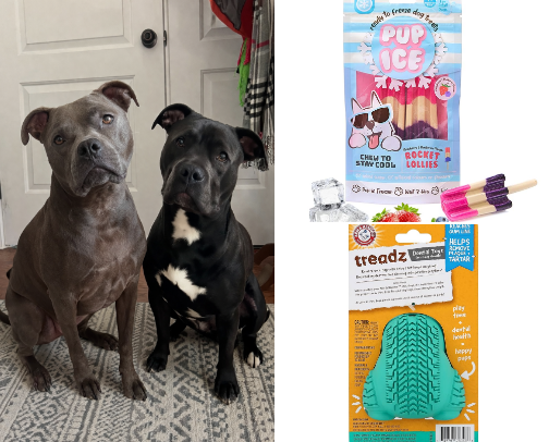 Spoil your Dog! cover photo collage