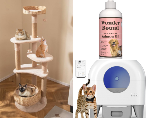 From Kibble to Catnip: My Cat’s Must-Haves cover photo collage