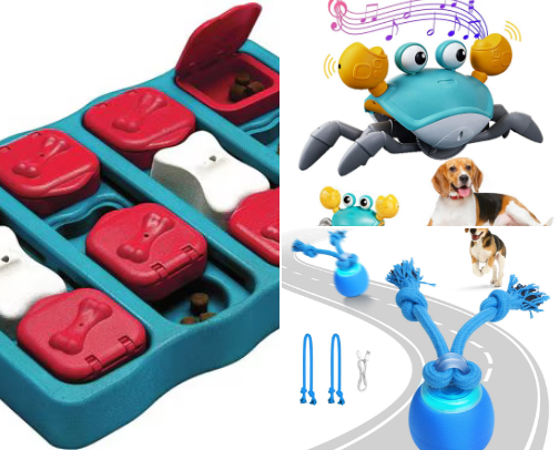 Cognitive dog puzzle cover photo collage