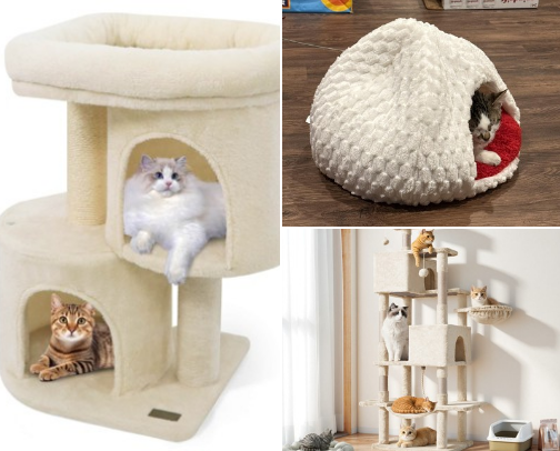 Keep Your Pet Happy: Toy & Supply Recommendations cover photo collage