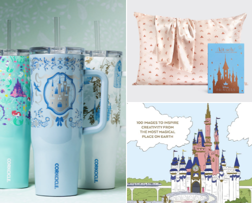 Surgery Recovery Disney Favorites cover photo collage