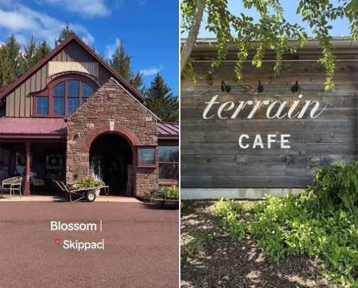 My top local recs cover photo collage